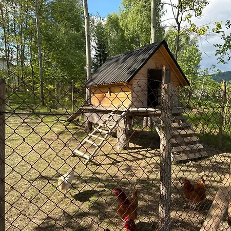 Na Wypasie Apartamento *