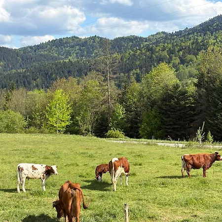 Apartamento Na Wypasie Grywald